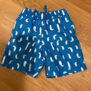 Hanna Andersson Swim Trunks